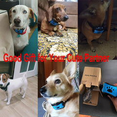 Ultrasonic Anti-Bark Dog Training Collar – USB Rechargeable Humane Bark Control Device