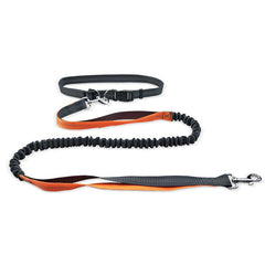 Hands-Free Dog Walking Belt – Detachable Shock-Absorbing Leash for Running & Jogging