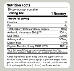 Shilajit 3-in-1 Gummies for Men – Energy Stamina & Testosterone Support Supplement