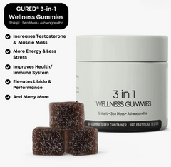 Shilajit 3-in-1 Gummies for Men – Energy Stamina & Testosterone Support Supplement