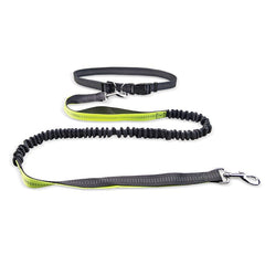Hands-Free Dog Walking Belt – Detachable Shock-Absorbing Leash for Running & Jogging