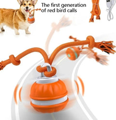 Interactive USB Rechargeable Rolling Ball Pet Toy – Automatic Moving Ball for Dogs & Cats
