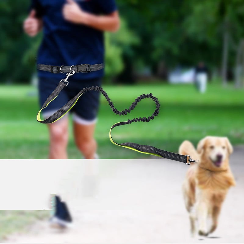 Hands-Free Dog Walking Belt – Detachable Shock-Absorbing Leash for Running & Jogging