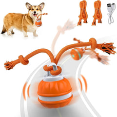 Interactive USB Rechargeable Rolling Ball Pet Toy – Automatic Moving Ball for Dogs & Cats