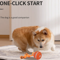 Interactive USB Rechargeable Rolling Ball Pet Toy – Automatic Moving Ball for Dogs & Cats