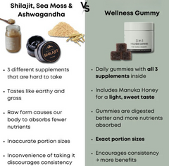 Shilajit 3-in-1 Gummies for Men – Energy Stamina & Testosterone Support Supplement